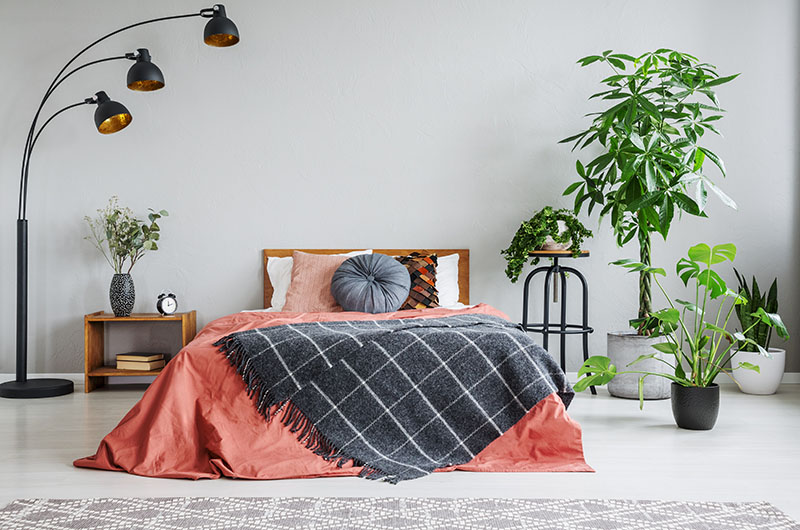 Bedroom Decoration Idea With Plants