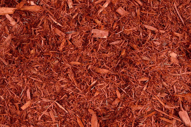 10 types of organic & inorganic mulch you can use in the