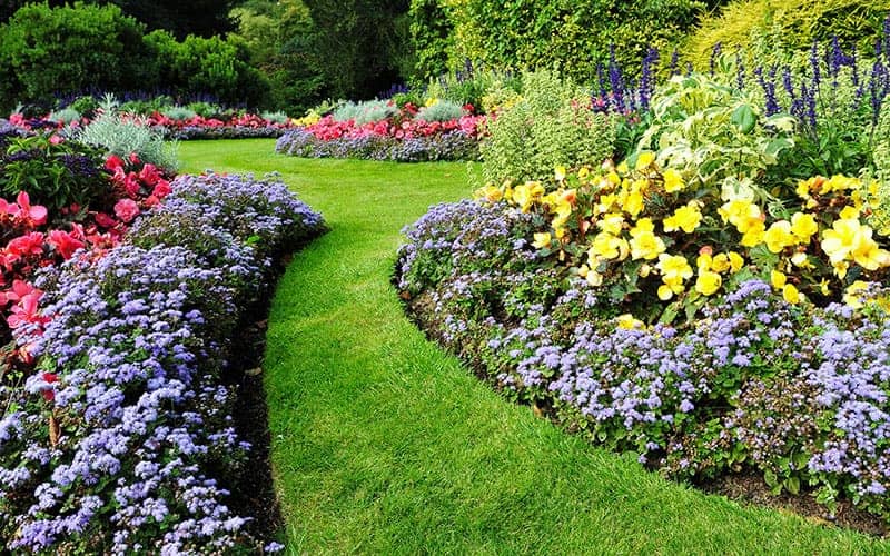 25 Beautiful Flower Bed Ideas Trees Com