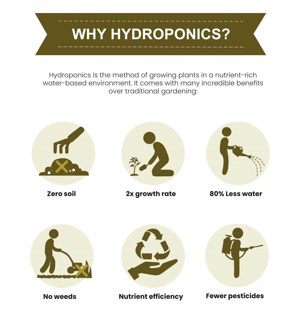 Advantages Disadvantages Of Hydroponics Trees Com