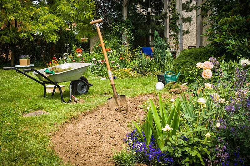 Building the Perfect Flower Bed