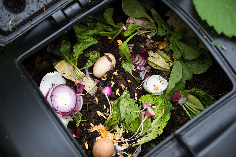 Review: All Seasons Indoor Composter Bokashi Compost Bin