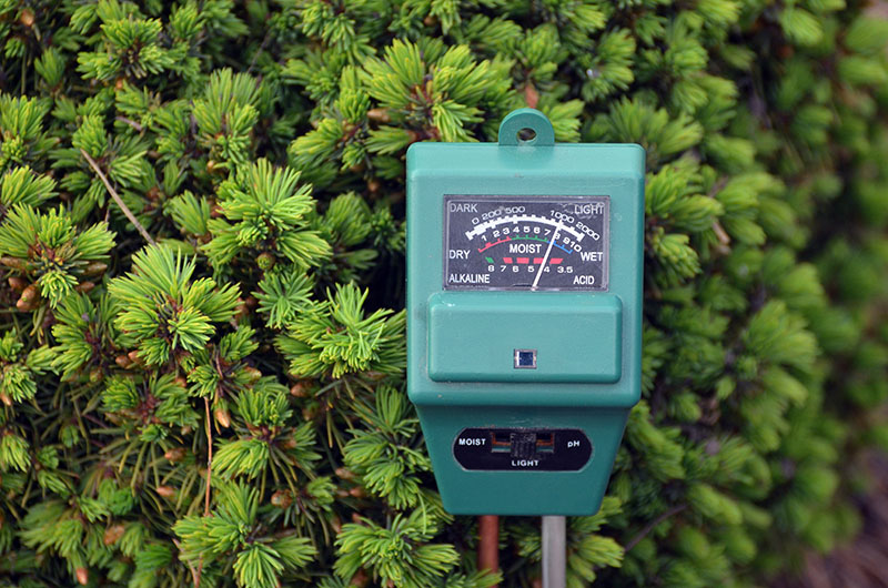5 Best Soil Moisture Meters