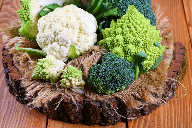 5 Amazing Types Of Broccoli You Can Grow In Your Garden Today Trees Com