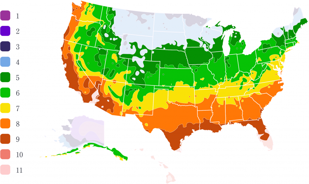 Trees Zones Map at Gail Underwood blog