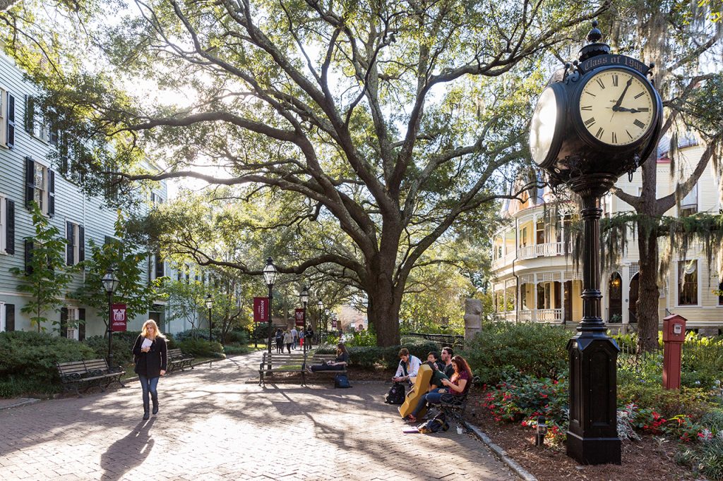 Best College Campuses for Trees | Trees.com