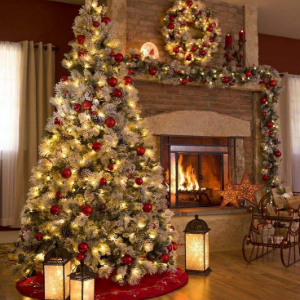 Best Christmas Tree Farms in Colorado Springs, CO - Trees.com