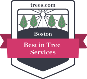 Best of Boston 2023: Service