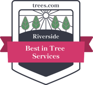 Gaspar Landscaping & Tree Service - Tree Service in Riverside