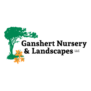 The Best Tree Nurseries in Madison, Wisconsin of 2023 - Trees.com