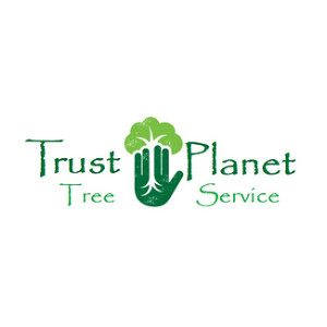 The Best Tree Services in Philadelphia, Pennsylvania of 2024 - Trees.com