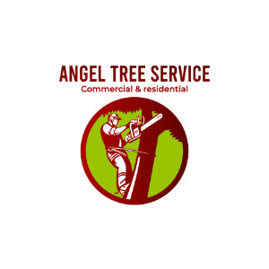 The Best Tree Services in Riverside, California of 2024 - Trees.com