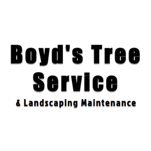 The Best Tree Services in San Jose, California of 2023 - Trees.com