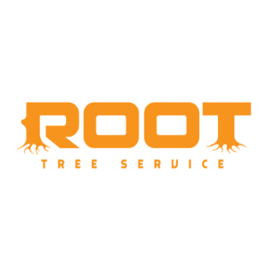 The Best Tree Services in Denver, Colorado of 2024 - Trees.com