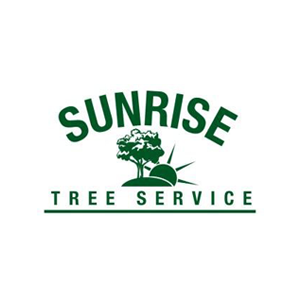 The Best Tree Services in Tampa, Florida of 2023 - Trees.com