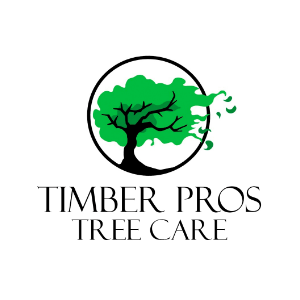 Best Tree Services in Baltimore, Maryland of 2024 - Trees.com