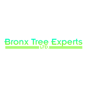 The Best Tree Services in Bronx, New York of 2024 - Trees.com