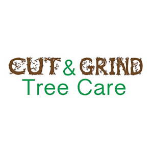 The Best Tree Services in Omaha, Nebraska of 2024 - Trees.com