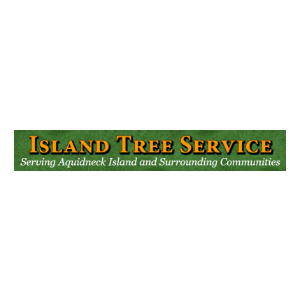 The Best Tree Service in Providence, Rhode Island of 2023 - Trees.com