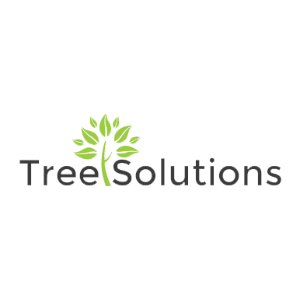 The Best Tree Services in Oklahoma City, Oklahoma of 2024 - Trees.com