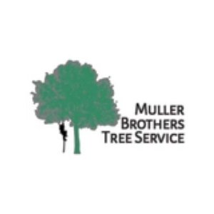 The Best Tree Services in Grand Rapids, Michigan of 2023 - Trees.com