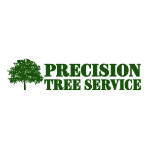 The Best Tree Service in Birmingham, Alabama of 2023 - Trees.com