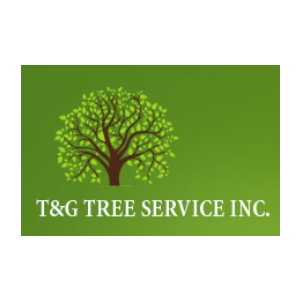 The Best Tree Services in Grand Rapids, Michigan of 2023 - Trees.com