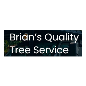 Best Tree Services in St. Petersburg, Florida of 2024 - Trees.com