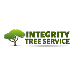 Best Tree Services in Plano, Texas of 2023 - Trees.com