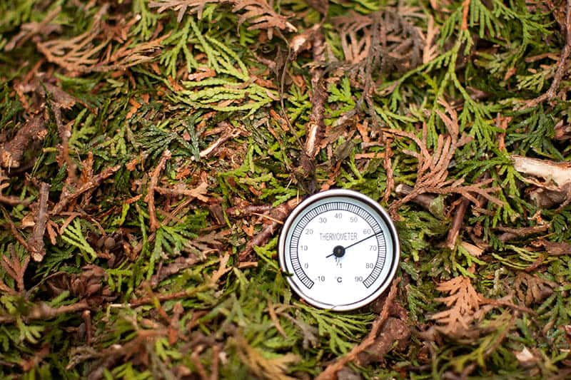 https://www.trees.com/wp-content/uploads/files/inline-images/compost-thermometer.jpg