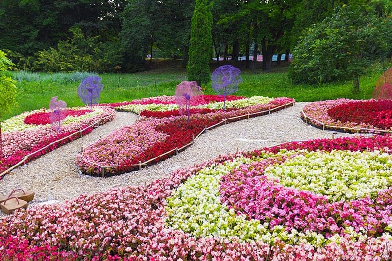 28 ideas to make flower beds become the focal point of your garden