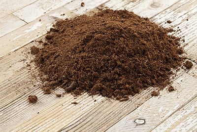 What is peat moss and where does it come from?