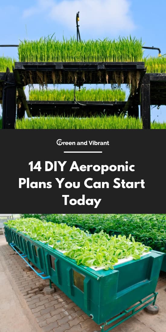 14 DIY Aeroponics Plans You Can Start Today | Trees.com