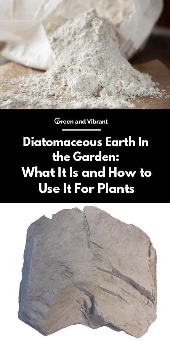 Diatomaceous Earth In The Garden What It Is And How To Use It For Plants Trees Com
