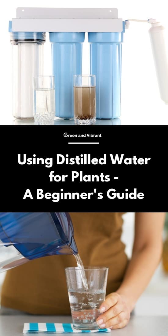 Can you use distilled water for plants Idea