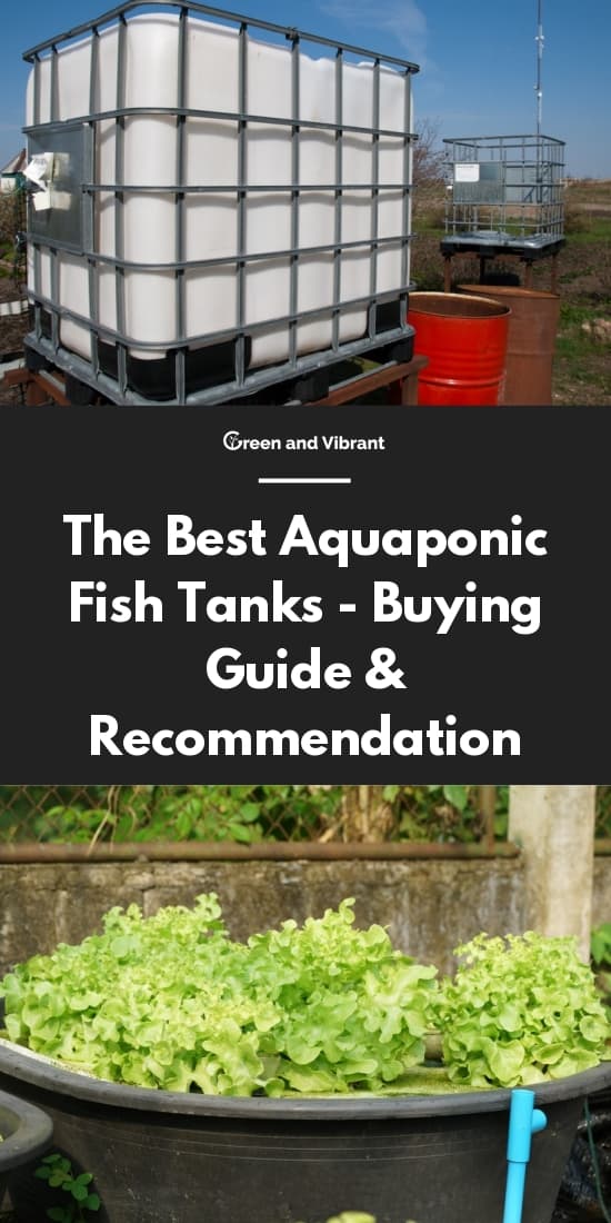 The Best Aquaponic Fish Tanks - Buying Guide & Recommendation | Trees.com