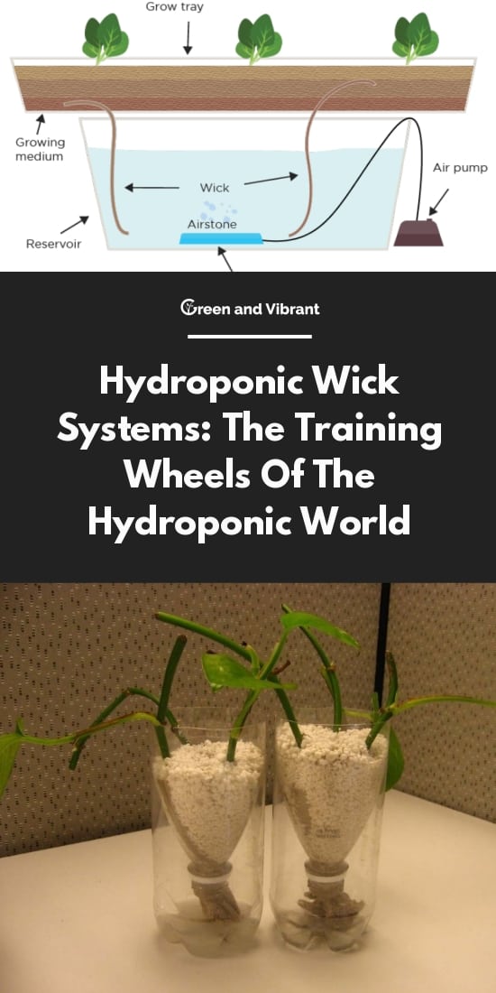 Hydroponic Wick Systems: The Training Wheels Of The Hydroponic
