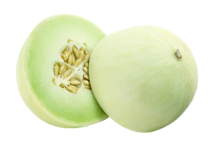 Featured image of post View 21 Types Of Melons Green