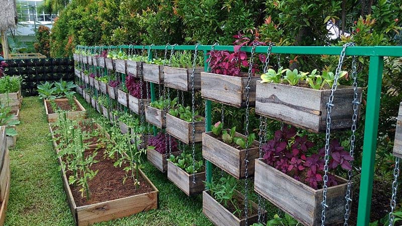 vegetable garden design ideas