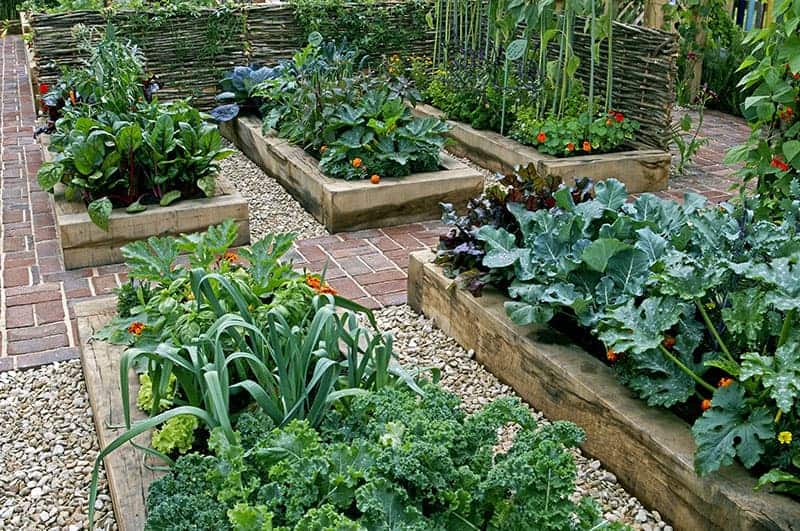 vegetable garden design unique